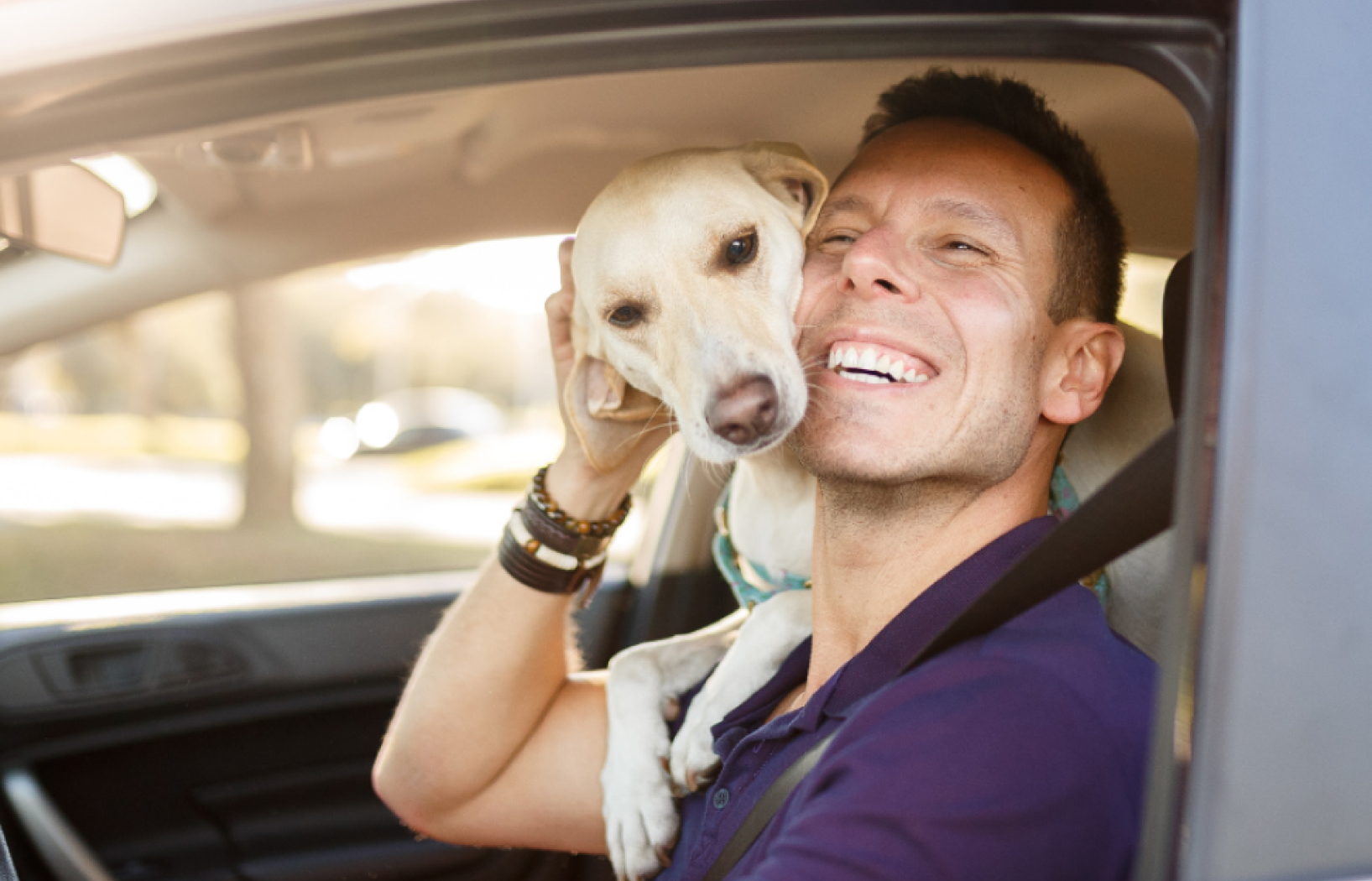 Man and Yellow Lab in Car