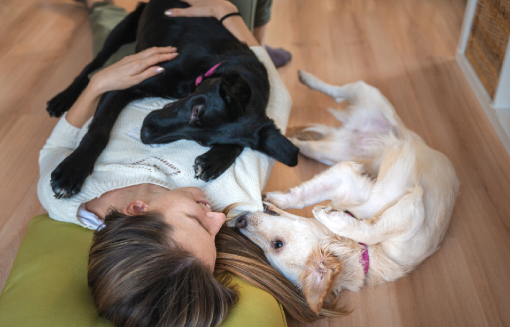 Girl Laying on Floor with Dogs